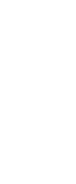 Games List Widget
